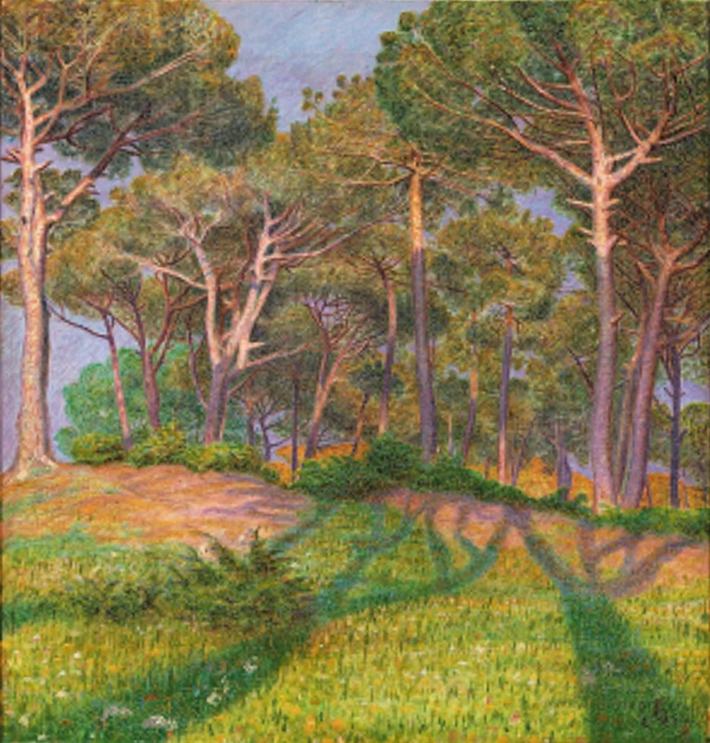 Kristian Zahrtmann - Pineta nei pressi di Pisa, 1911